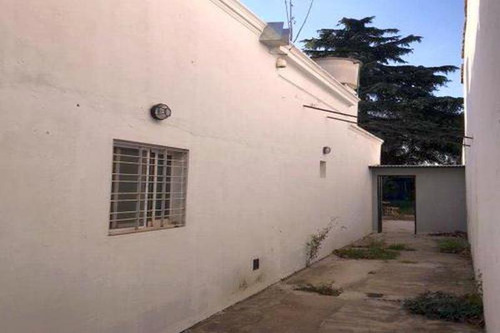 Imagen 4 de 9 de Apto Todo Rubro | Amplio Jardín Y Quincho.