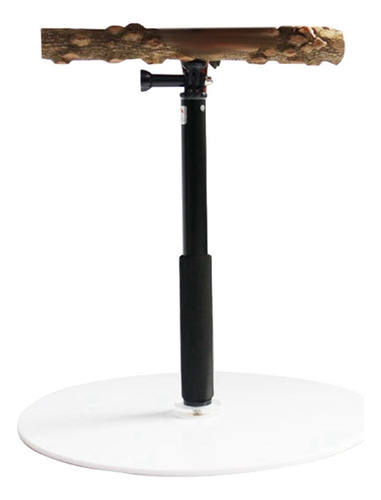 Bird Perch Parrot Training Playstand Con Base De Ejercicio
