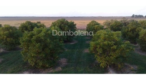 Imagen 7 de 25 de Terreno En Venta O Permuta Ubicado En Punta Indio, Resto De La Provincia