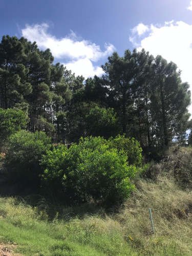 Terreno En Pinar Del Golf - Monte Del Este