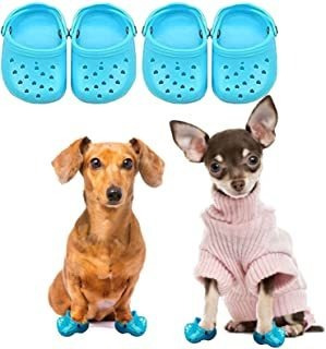 Tiktok 2022 Zapatos De Verano Para Cachorros, Sandalias De C