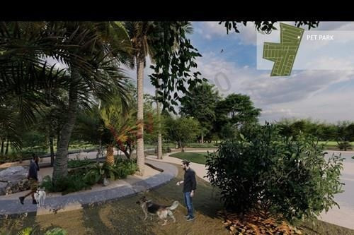 Imagen 4 de 18 de Terrenos Residenciales A La Venta En Santa Clara, Costa Esmeralda, Yucatán.