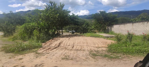 Imagen 1 de 12 de Finca En Venta Mina De Arena El Cambur. Estado Carabobo