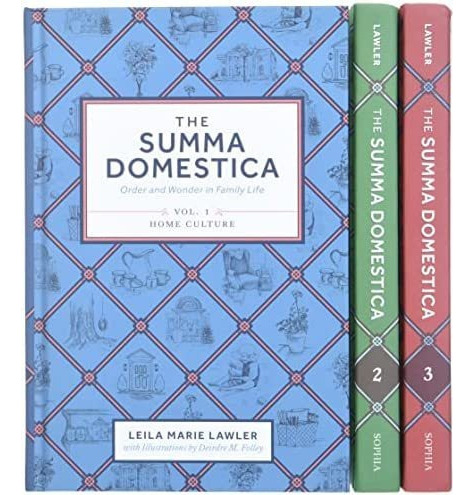 Libro The Summa Domestica-inglés&..