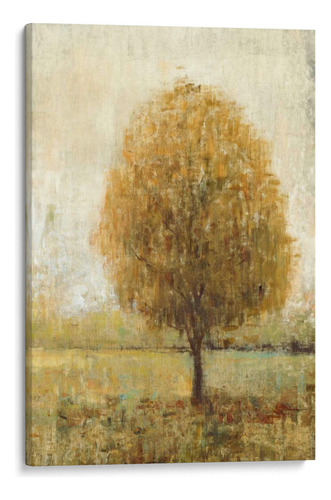 Canvas Lab Cuadro Solo Ii 110x165, Tim Otoole