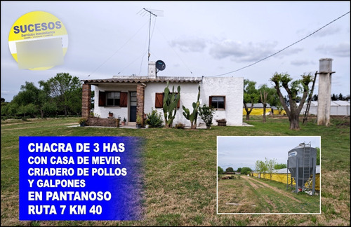 Vende Chacra De 3 Has Con Casa De Mevir - Criadero De Pollos Y Galpones En Ruta 7 Km 40 Pantanoso.