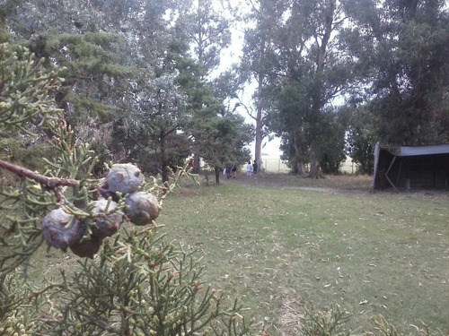 Imagen 9 de 30 de Campo Mixto En San Cayetano