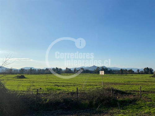 Agrícola En Venta En Teno