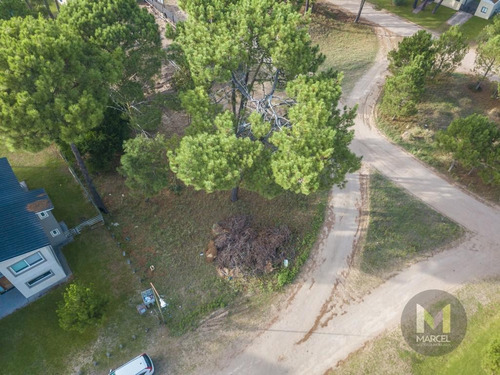 Imagen 5 de 10 de Lote En Venta - Zona Alamos Ii - Pinamar