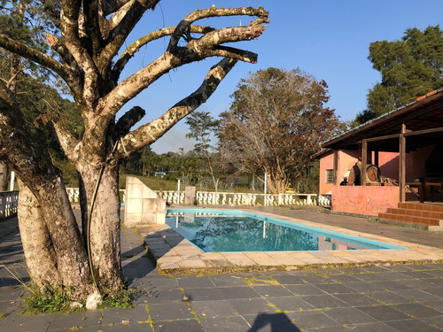 Imagem 20 de 30 de Sitio - St00010 - 69953800