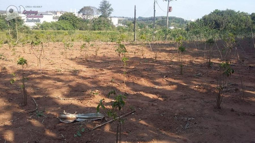Imagem 2 de 15 de Área Para Loteamento Para Venda Em Atibaia, Loteamento Vale Das Flores - Te00141_2-795118