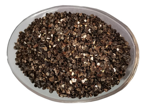 Trigo Sarraceno Com Casca 5 Kg+ 10 Outras Sementes/brinde