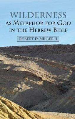 Libro Wilderness As Metaphor For God In The Hebrew Bible ...