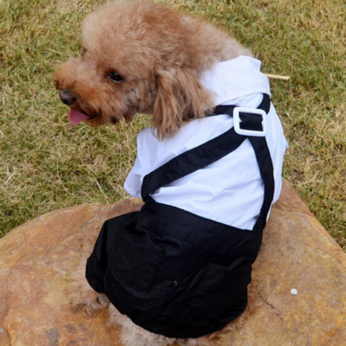 Jk Ropa Elegante For Mascotas Con Corbata Xl