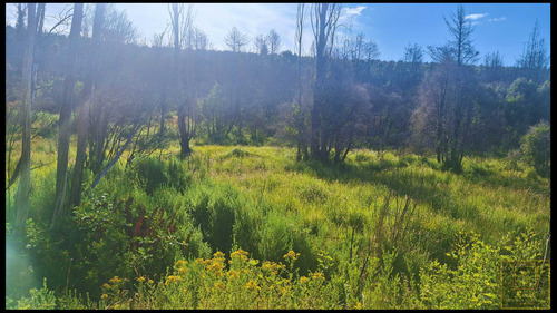 Se Venden Terrenos En Santa Juana , Rural (104525)