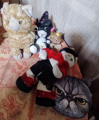 4 Peluches De Gato Y Un Estuche