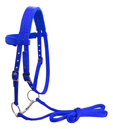 Brida De Nylon Para Montar A Caballo Azul L