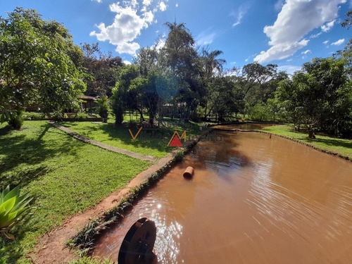 Imagem 9 de 15 de Sítio Para Venda Em Itatiaiuçu - 70512_2-1227359