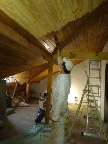 Imagen 5 de 5 de Pintor, Pinturas De Obras.tarqui, Filtración De Techos.