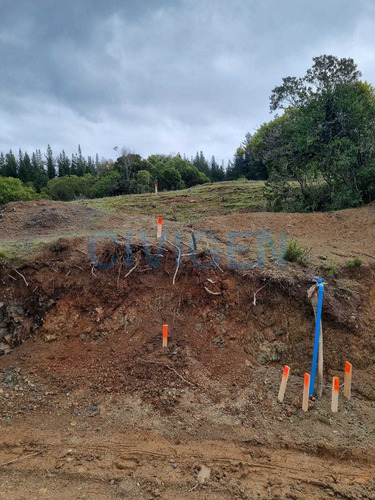 Tranquila Parcela 0,5ha Tranquilidad (92297)