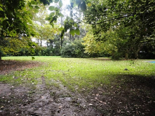 Imagen 3 de 4 de Terreno En Venta En Muñiz