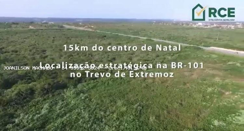 Imagem 5 de 11 de Área Para Venda Em Extremoz, Trevo De Acesso A Extremoz - Área Com 12,84ha - Ter1231-á_2-987413