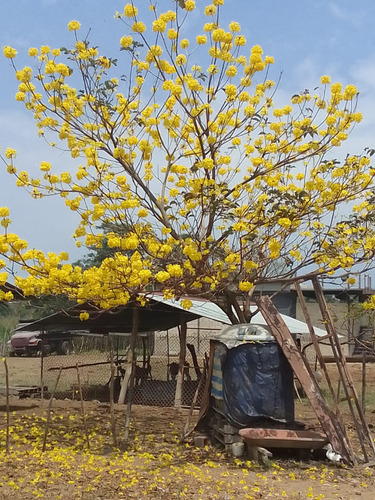 Se Vende Granja En El Estado Carabobo Ve02-1321carab-mtru