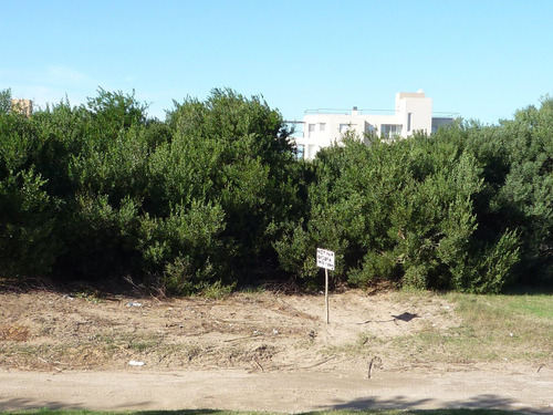 Lote Baldío A Metros De La Playa.