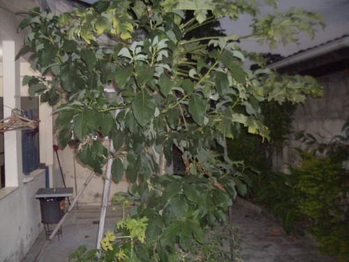Imagem 7 de 30 de Casa Para Venda - Jardim Sulacap, Rio De Janeiro - 10 Vagas - 416