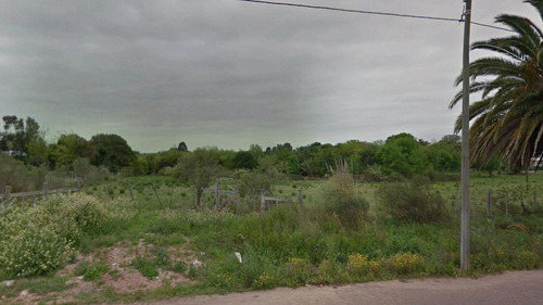 Imagen 3 de 9 de Oportunidad Terreno Zona Logística En Paso De La Arena! Financiación!