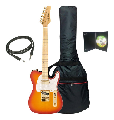 Guitarra Electrica Custom Jay Turser Jt-lt Con Funda Y Dvd
