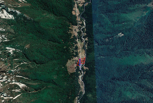 Terreno Cerca Reserva Nacional Malleco, 6.100 Mt2