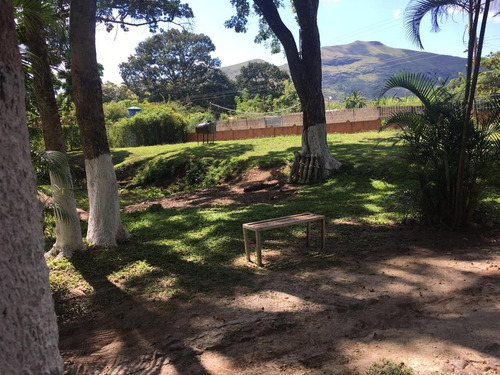 Imagen 8 de 9 de Finca En Venta En Tinaquillo Marco Sevilla C437108