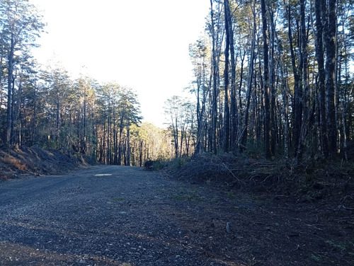 Venta Parcela Bosque Pucón Los Nevados