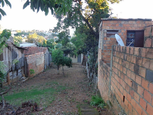 Imagem 3 de 4 de Terreno - Jardim Europa - Ref: 221278 - V-221278