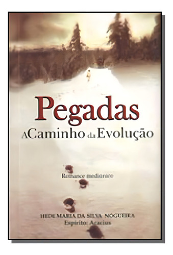 Pegadas A Caminho Da Evolução, De Hede Maria Da Silva Nogueira,. Editora Solidum, Capa Mole Em Português, 2021