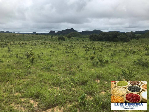 Imagem 1 de 15 de Fazenda À Venda Em Recursolândia - Ms - De 1.041 Alqueirões - 1648