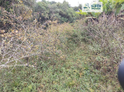 Imagem 18 de 30 de Chácara A Venda No Bairro Centro Em Arroio Do Padre - Rs. - 2005-1