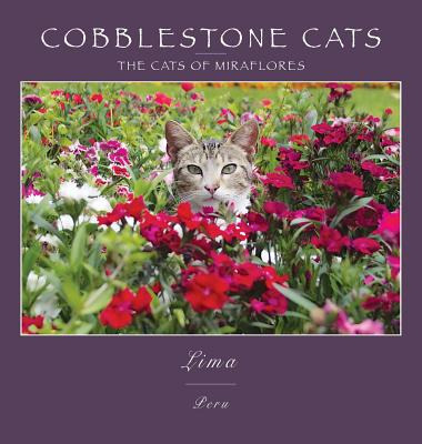 Libro Cobblestone Cats - Lima: The Cats Of Miraflores - P...