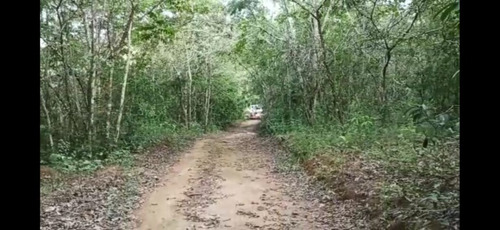 Imagem 3 de 6 de Terreno Escriturado Zona Rural De Pirenópolis