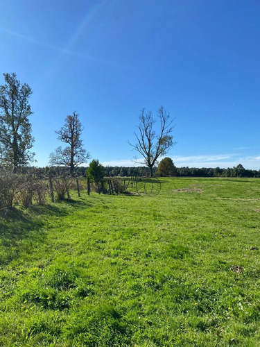 Se Vende, Parcela 2,1 Hectáreas Región De Los Lagos