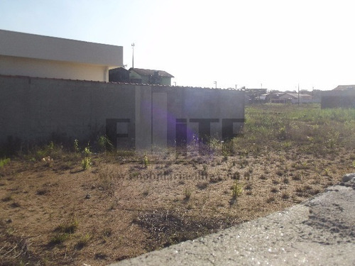 Imagem 16 de 30 de Terreno - Te00031 - 3240162