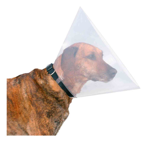 Collar Isabelino Veterinario Para Perros Y Gatos Talle *xs* Mini Tamaño Del Collar 22 A 25 Cm