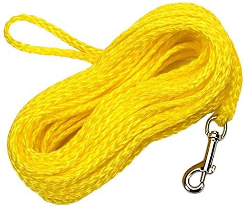 R3850 Costera Mascotas G Yel50 Poli Comprobar El Cable, 1/4 