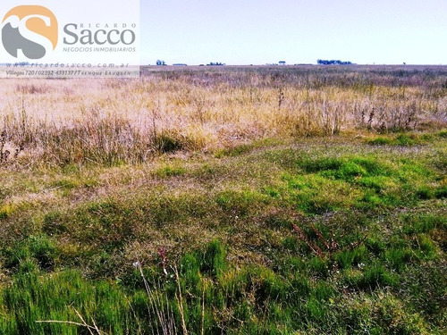 Chacra En Venta En Distrito De #trenquelauquen