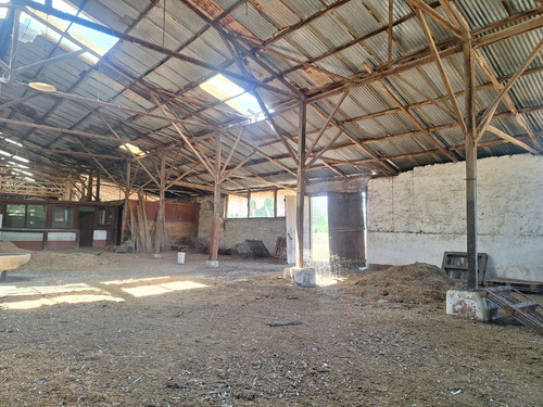 Terreno Con Gran Galpón, Bodegas, Oficinas Y Casa