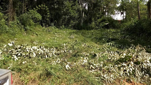 Imagem 1 de 2 de Condomínio Em Ibiúna Patrimonio Do Jahu 800 Mts Ac Carro