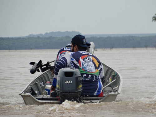 Motor De Popa Yamaha 40 Amhs - Manual