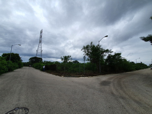 Imagen 6 de 11 de Terrenos En Venta Sobre Avenida En Calle 70 De Caucel