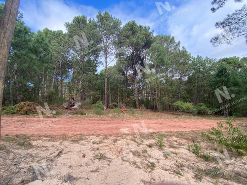 Imagen 2 de 4 de Oportunidad. Terreno En Venta En Club Del Lago, Punta Ballena. - Punta Ballena Club Del Lago